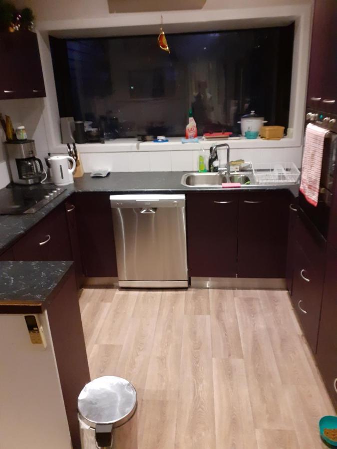 Intrepid Bed & Breakfast Christchurch Extérieur photo